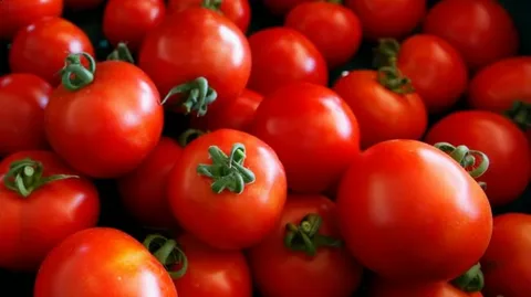 تصویر 5 از گوجه فرنگی رسیده آبدار شیرین مجلسی